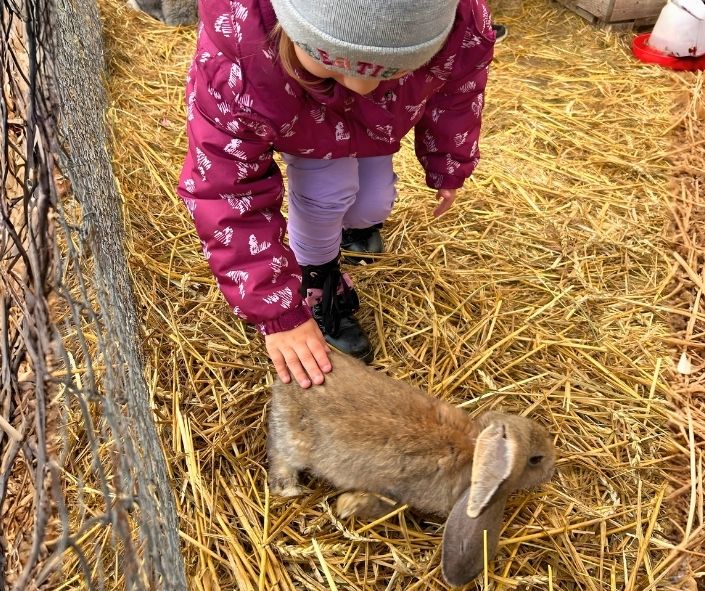 Spotkanie z króliczkami